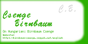 csenge birnbaum business card